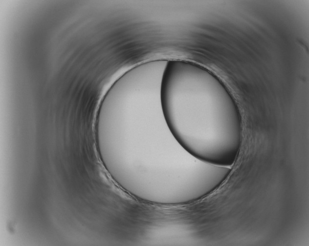 X0000103230864200809041023