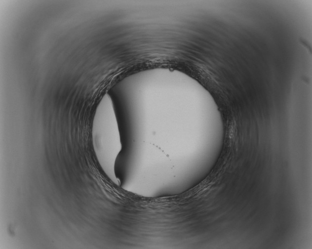 X0000103230868200809041022