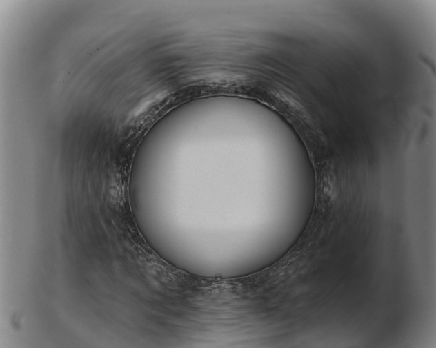 X0000103230869200809041022