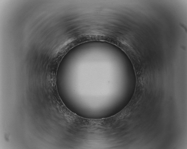 X0000103230870200809041022