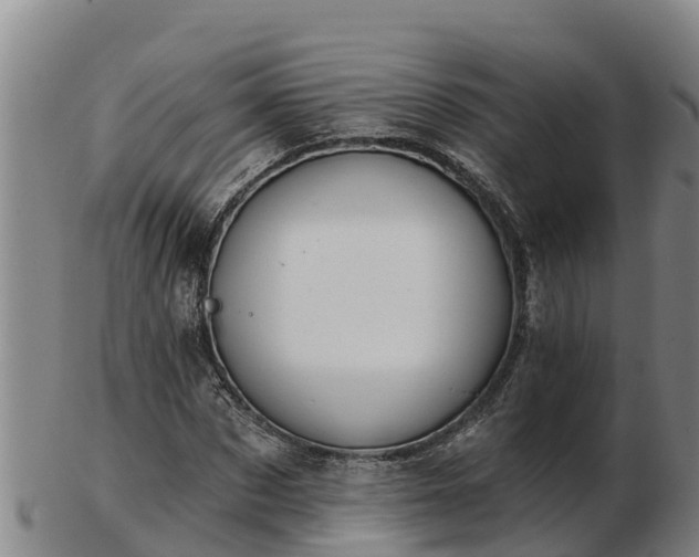 X0000103230873200809041022