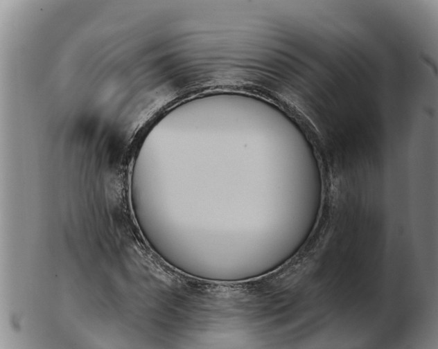 X0000103230874200809041022