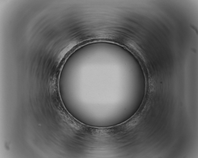 X0000103230875200809041022