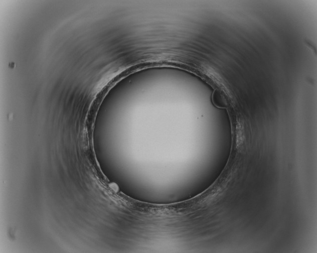 X0000103230876200809041022