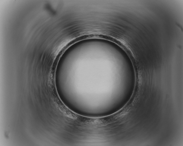 X0000103230879200809041022