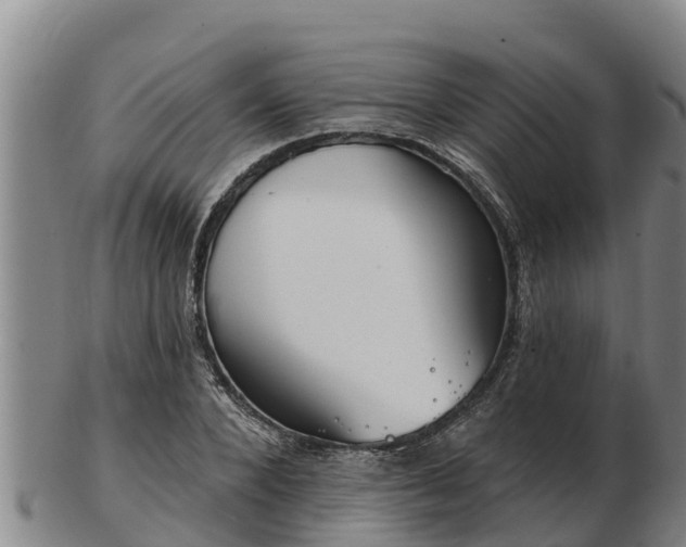 X0000103230880200809041022