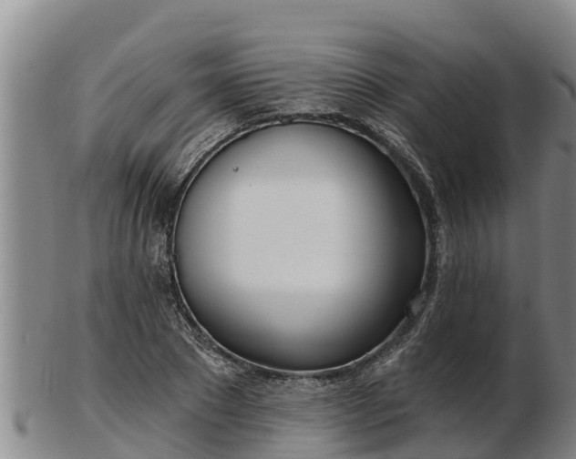 X0000103230881200809041022