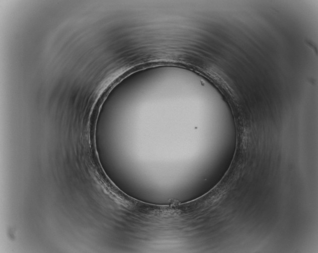 X0000103230884200809041022