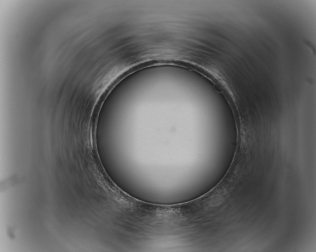 X0000103230887200809041022