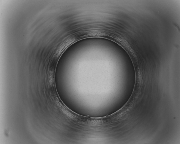 X0000103230889200809041022