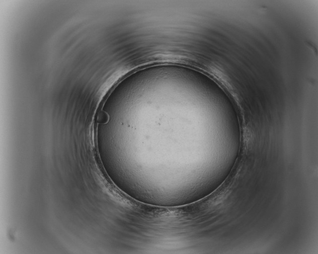 X0000103230891200809041022