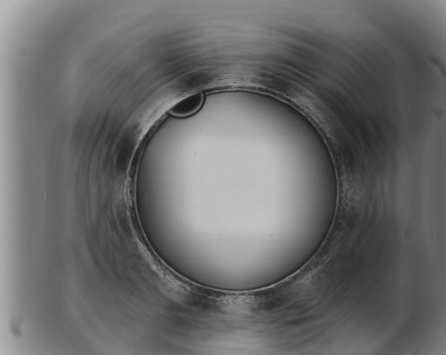 X0000103230893200809041022