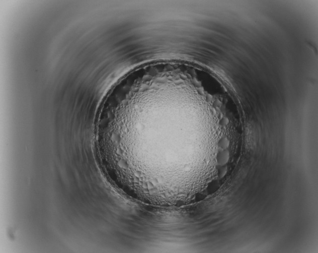 X0000103230895200809041022