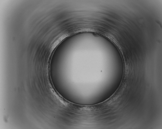 X0000103230898200809041022