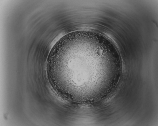 X0000103230899200809041022