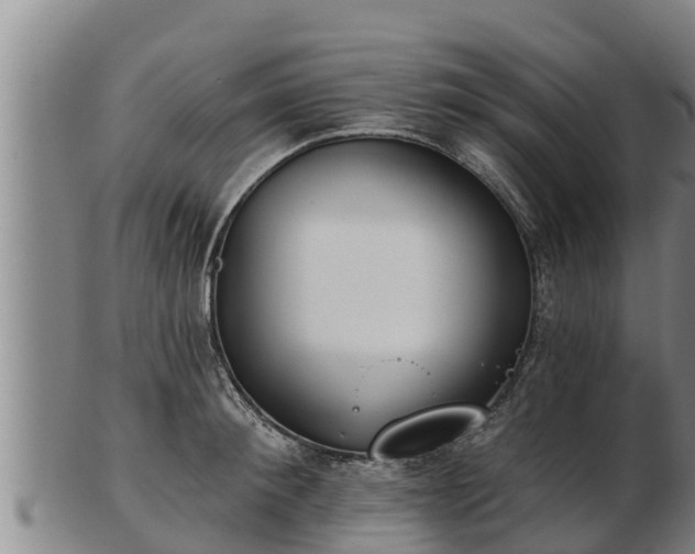 X0000103230900200809041022