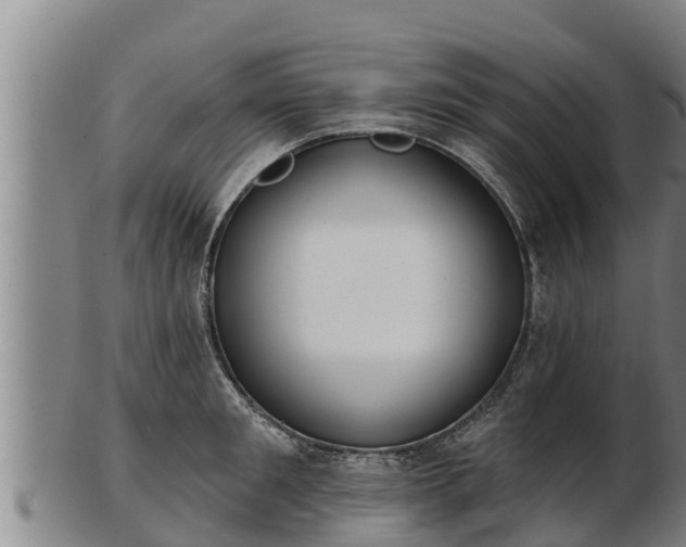 X0000103230901200809041022
