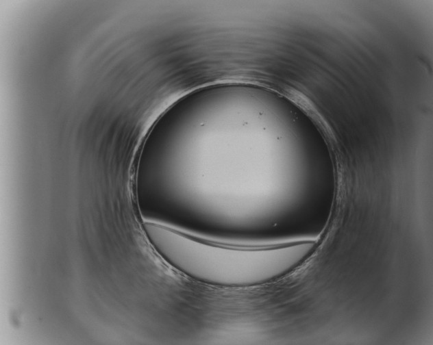 X0000103230908200809041022