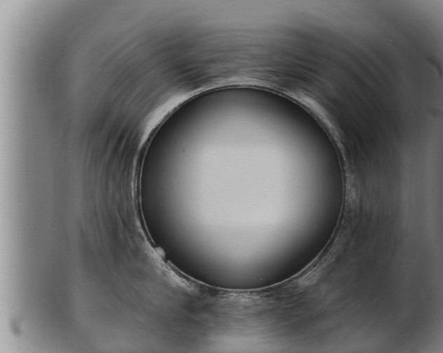 X0000103230910200809041022