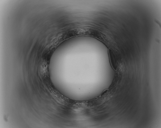 X0000103230914200809041021