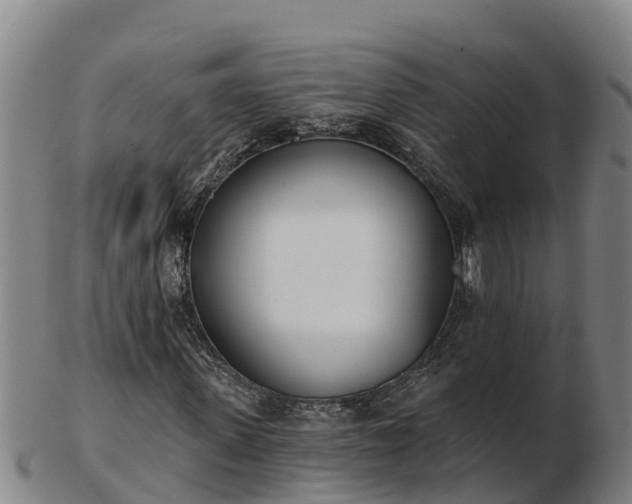 X0000103230915200809041021