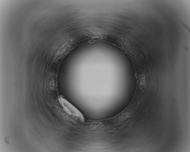 X0000103230916200809041021