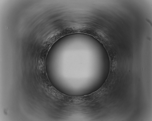 X0000103230917200809041021