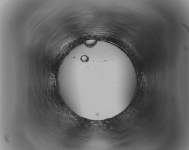 X0000103230918200809041021