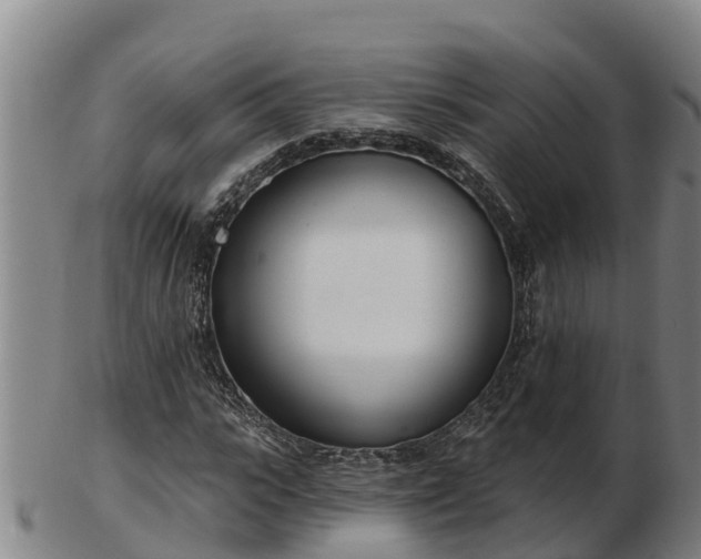 X0000103230919200809041021