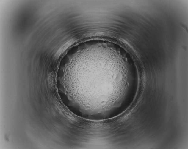 X0000103230921200809041021