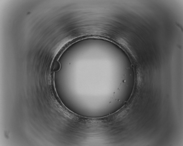 X0000103230924200809041021