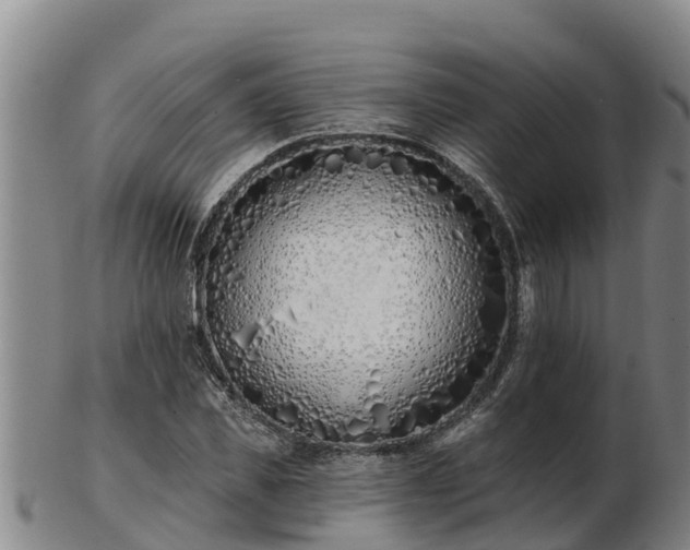 X0000103230925200809041021