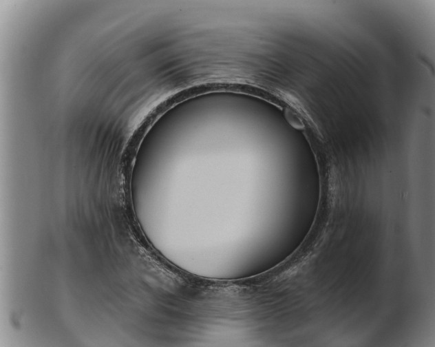 X0000103230926200809041021