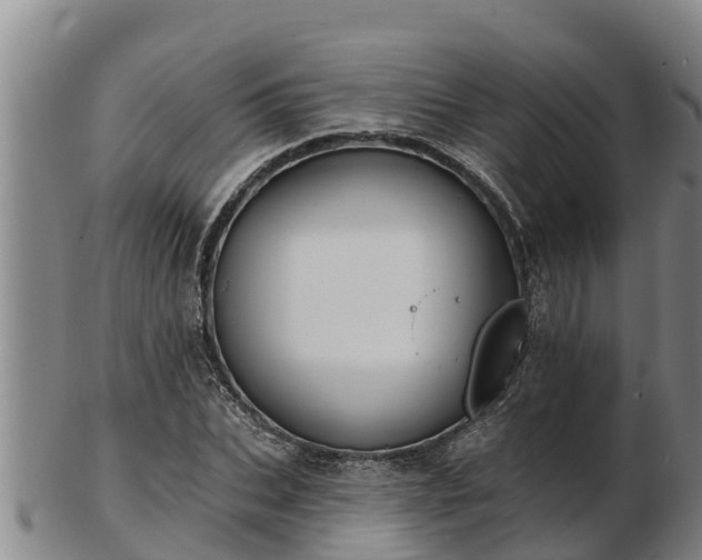 X0000103230927200809041021