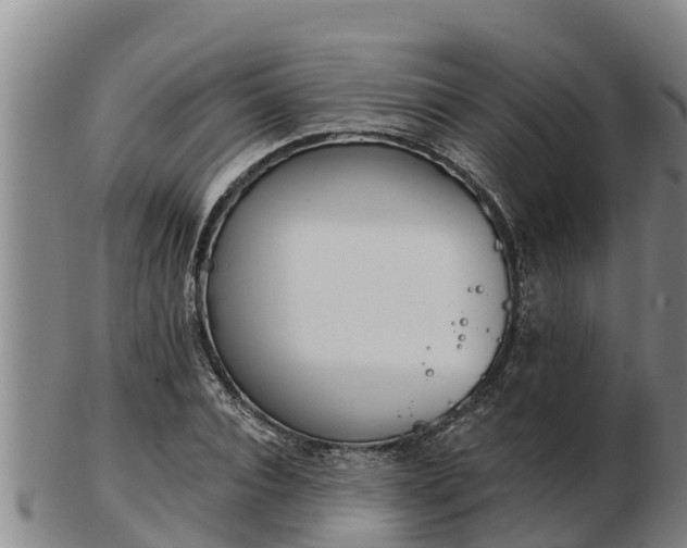 X0000103230928200809041021