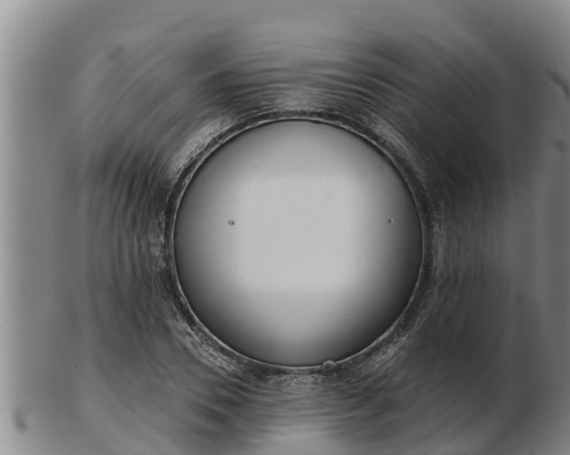 X0000103230930200809041021