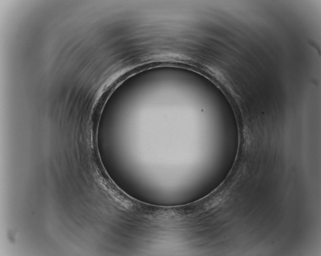 X0000103230931200809041021