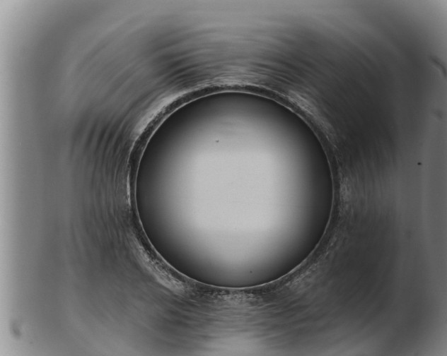 X0000103230934200809041022