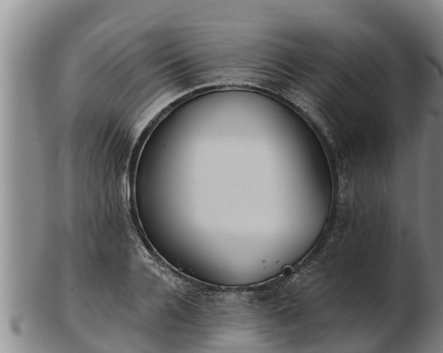 X0000103230936200809041022