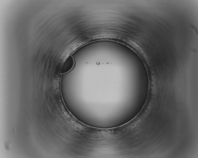 X0000103230937200809041022