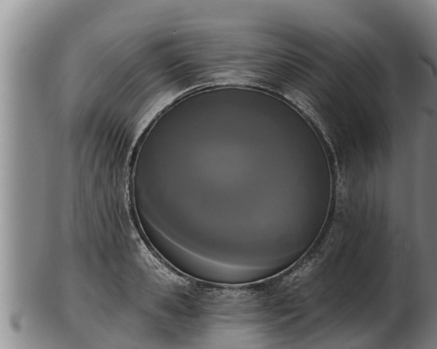 X0000103230941200809041022