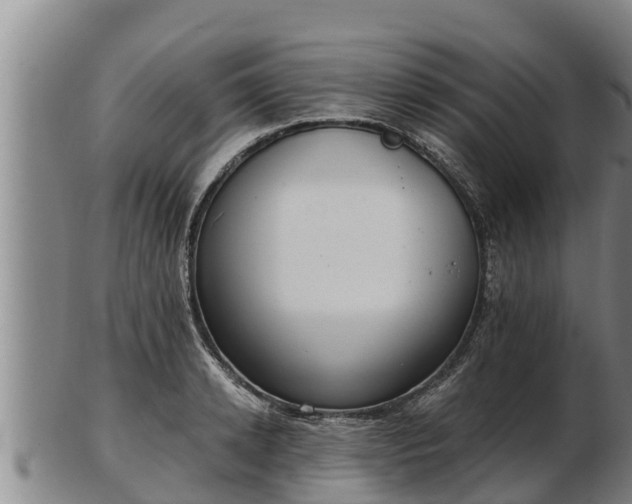 X0000103230942200809041022