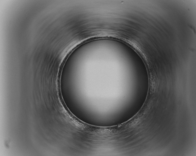 X0000103230943200809041022