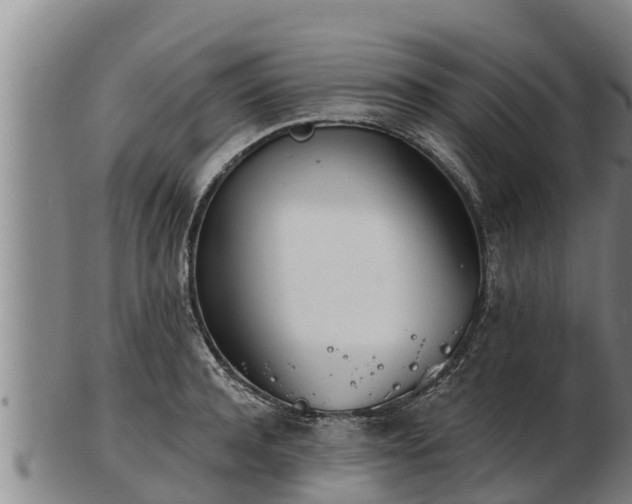 X0000103230944200809041022