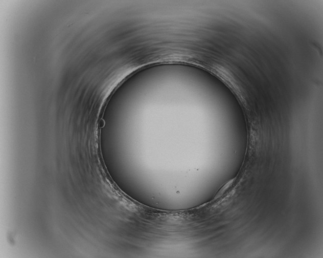 X0000103230948200809041022