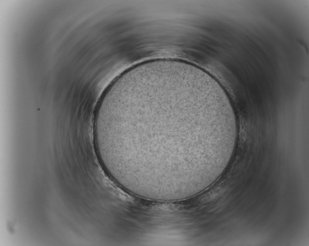 X0000103230950200809041022