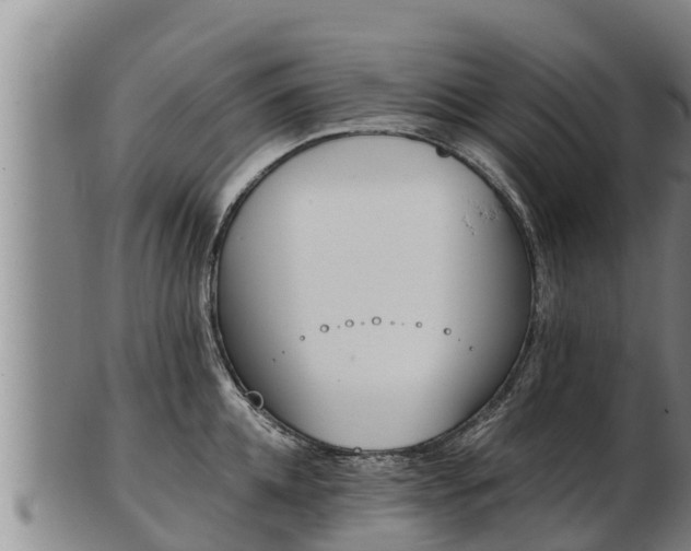 X0000103230952200809041022