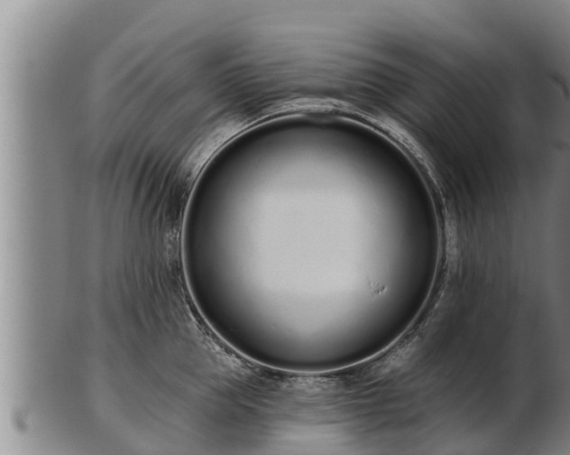 X0000103230953200809041022