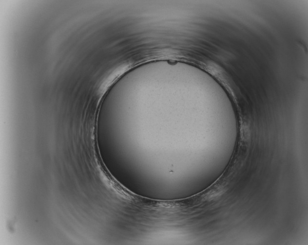 X0000103230954200809041022