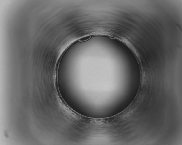 X0000103230955200809041022